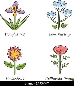 Wilde Blumen Farbe Symbole gesetzt. Douglas Iris, Kuh Pastinake, helianthus, Kalifornischer Mohn. Blühende Wildblumen, Unkraut. Spring Blossom. Feld, Wiese herba Stock Vektor