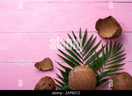 Kokosnüsse und Palmblättern auf Rosa Stockfoto