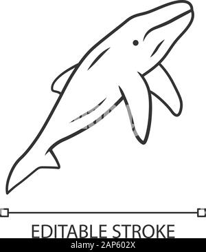 Wal lineare Symbol. Marine Mammal. Ozean Predator. Aquatic Animal, Wildnis der Natur. Zoologie und Ozeanographie. Dünne Linie Abbildung. Kontur Symbol. V Stock Vektor