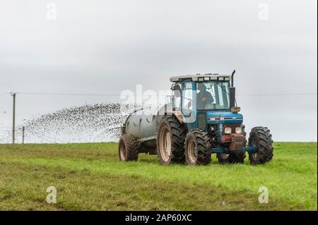 Ballydehob, West Cork, Irland. Januar 2020. Ein Landwirt aus Ballydehob sprüht an einem bewölkten Tag in West Cork Gülle auf seinem Feld. Quelle: AG News/Alamy Live News Stockfoto