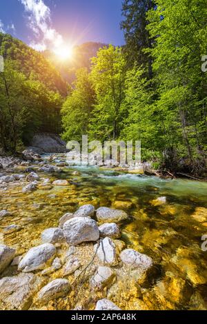 Cold Mountain Stream aus Wasserfall Savica, Fluss Sava in der Nähe von Lake Bohinj, Slowenische Alpen, Slowenien. Der Sava Bohinjka ist ein Oberlauf des Flusses Sava Stockfoto