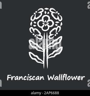 Franziskaner Mauerblümchen chalk Symbol. Blühende Garten Pflanze mit Namen Inschrift. Erysimum franciscanum Blütenstand. Blühende Wildblumen, Unkraut. Feder Stock Vektor