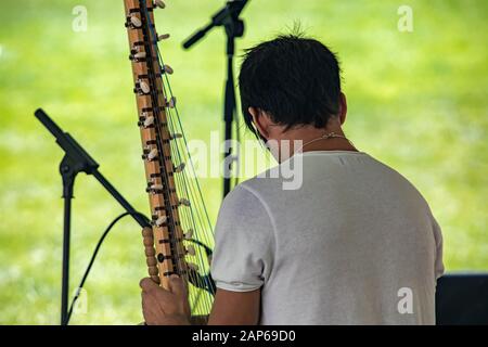 Nahaufnahme von der Rückseite des männlichen Künstlers, der traditionelle Holzharfenkora mit Mikrofon spielt, während er im Park gegen den grünen Rasen sitzt Stockfoto