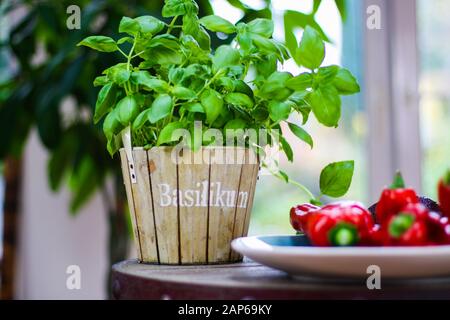 Blick über verschwommene Schüssel mit roten Paprika auf Holztopf mit grüner Basilikumpflanze. Verschwommener Hintergrund mit Bokeh. (Das deutsche Wort Basilikum bedeutet BAS Stockfoto