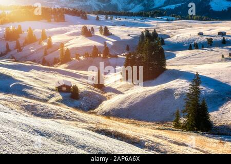 Seiser Alm oder Seiser Alm mit Langkofel, Langkofel Berg im Hintergrund. Seiser Alm oder Seiser Alm, Langkofel und Plattkofel Berge Stockfoto