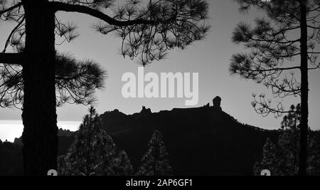 Berglandschaft zwischen Pinien bei Sonnenuntergang, Naturpark Roque Nublo, Gran Canaria, Kanarische Inseln, Spanien Stockfoto