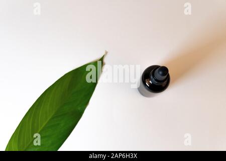 Draufsicht auf eine Flasche mit CBD-Öl oder anderem ätherischem Öl und einem grünen Blatt auf weißem Hintergrund Stockfoto