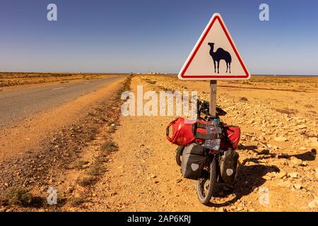 Straßenschild mit Kamel, ein Tourfahrrad, das sich gegen den Pfosten des Schildes neigt Stockfoto