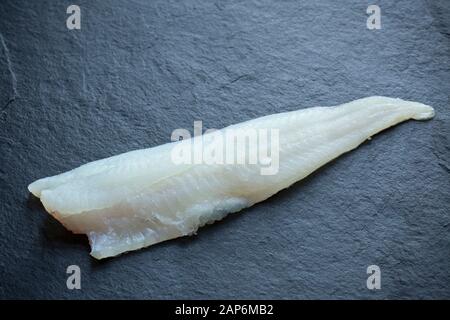Ein einziges rohes Whiting-Filet, Merlangius merlangus, aus einem im Ärmelkanal gefangenen Whiting auf Stab und Linie von einem Boot. Dunkler Schieferhintergrund. Tun Stockfoto