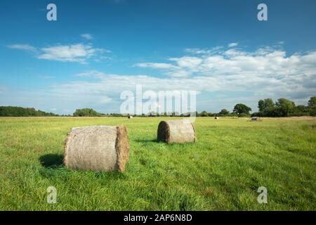 Zwei Heukreise auf grüner Wiese, Horizont und weiße Wolken am blauen Himmel Stockfoto
