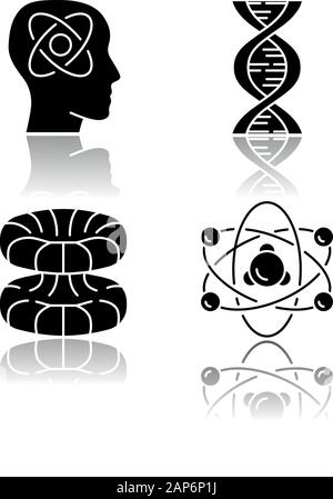 Physik Zweige Schatten schwarz Glyphe Symbole gesetzt. Neurophysik, Biophysik, Quanten- und Kernphysik. Kernmaterie und der Forschung. Neurosci Stock Vektor