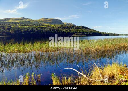 Glencar Lough S.E. aus Benbulbin, Co. Sligo, Irland. Mit Blick nach Südwesten, um den Berg durch Schilf am Nordufer zu Bewältigen. Spätsommer. Yeats Land Stockfoto