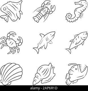 Meerestiere lineare Symbole gesetzt. Schwimmen Shark, Seeteufel, Falterfische. Unterwasser Kreatur. Aquatischen Organismus. Thin Line Kontur Symbole. Isoliert Stock Vektor