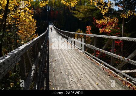 Holzfußbrücke zwischen den beiden Wänden des Rimouski im Canyon des Portes de l'Enfer (Canyon des Höllentors). Stockfoto