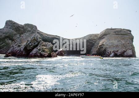 Bootsfahrt zu Seelöwen und Vögeln auf einem Felsen im Paracas-Nationalpark Stockfoto