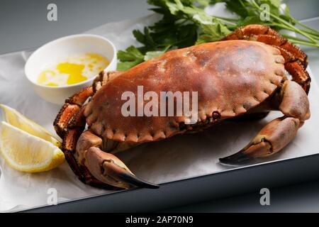 Vorbereitet schwedische Krabben serviert mit Zitrone, Petersilie und Butter gezeichnet Stockfoto