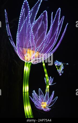 London, Großbritannien. Januar 2020, 21. Lightopia Festival, erforscht die interaktiven und immersiven Illuminating Installationen & Skulpturen. Stockfoto