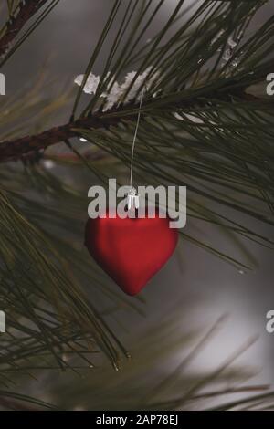 Rotes, herzförmiges Weihnachtsornament, das an einem Zweig einer jungen Kiefer in einem verschneiten Wald hängt. Stockfoto