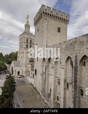 Papstpalast Avignon südlich von frankreich provence-Brücke Stockfoto