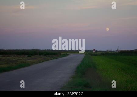 Blauer Himmel und Vollmond über dem grünen Feld, Albufera, Valencia Stockfoto