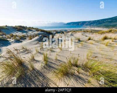 Dünen, Strand von Guincho, Cascais, Portugal Stockfoto