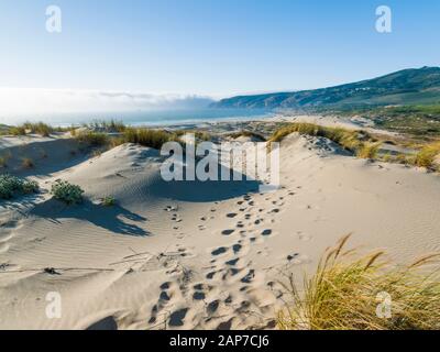 Dünen, Strand von Guincho, Cascais, Portugal Stockfoto