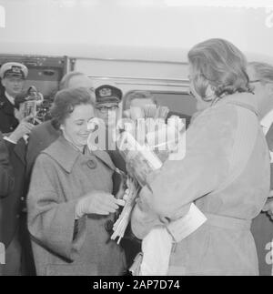 Anreise Ingrid Bergmann am Flughafen Schiphol Margriet de Groot bietet Ingrid Bergmann blumen Datum: 15 März 1961 Standort: Noord-Holland, Schiphol Schlüsselwörter: Blumen, Ankünfte Persönlicher Name: Ingrid Bergmann Stockfoto