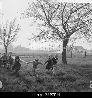 Blüte Blüten in der Betuwe Datum: 11 April 1961 Standort: Betuwe-Strecke Stockfoto