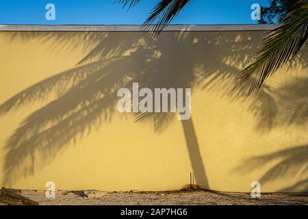 Frühmorgendliche Sonne, die Palmenschatten an der Wand wirft Stockfoto