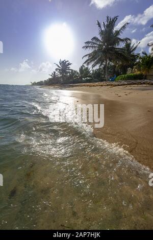 Sanfte Wellen, die zum Ufer rollen, Grand Cayman Island Stockfoto
