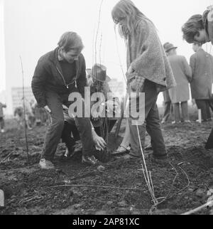 Tag der Baumbepflanzung an der Ecke Pieter Callandlaan, Alderman Tobacco hilft zwei Kindern bei der Anpflanzung eines Baumes Datum: 7. April 1965 Schlüsselwörter: Kinder, PFLANZEN, Baumbepflanzungstage, Erdermen Stockfoto