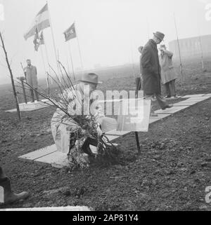 Tag der Baumbepflanzung an der Ecke Pieter Callandlaan, Alderman Tobacco hilft zwei Kindern bei der Anpflanzung eines Baumes Datum: 7. April 1965 Schlüsselwörter: Kinder, PFLANZEN, Baumbepflanzungstage, Erdermen Stockfoto