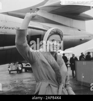 Filmschauspielerin Thea Flemming, die Niederländerin Brigitte Bardot, bei Ankunft in Schiphol Beschreibung: Die Schauspielerin bei der Ankunft Anmerkung: Thea Flemming (Fleming), geboren 1942, aus Sittard wurde zur niederländischen BB gewählt, Danach hatte sie eine Filmkarriere in Italien unter dem Namen "Isella Biancini". Sie kam in die Niederlande, um der Ehe ihres Bruders beizuwohnen (Hrsg.] Datum: 19. November 1965 Ort: Noord-Holland, Schiphol Schlüsselwörter: Ankunft und Abreise, Schauspieler, Schauspielerinnen, Filmstars, Porträts, Porträts, Flughäfen persönlicher Name: Flemming, Thea Stockfoto