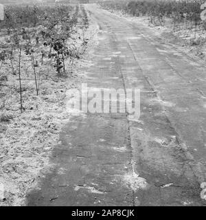 Bau, Verbesserung, Straßen, Deiche, Sparbecken, Grundmauern Datum: September 1966 Schlagwörter: Bau, Deiche, Fundamente, Sparbecken, Verbesserung, Straßen Stockfoto