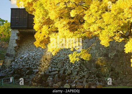 Burg Kumamoto im Herbst, Präfektur Kumamoto, Japan Stockfoto