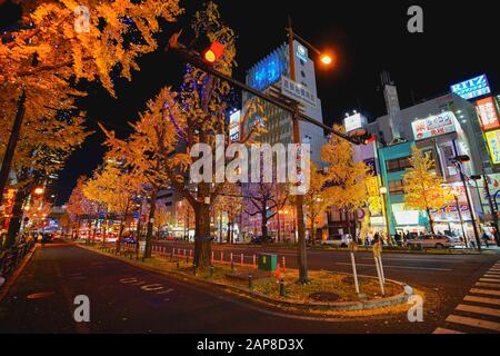 Osaka, Japan - 16. Dezember 2019: Nachtaufnahme mit schönen gelben Blättern von Ginkgo im Namba-Viertel, Osaka Stadt, Japan. Stockfoto