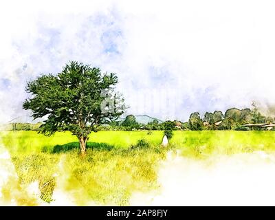 Abstrakte bunte Baumlandschaft und Straße im Wald auf dem Hintergrund der Aquarellmalerei. Stockfoto