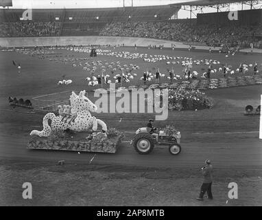 Flower Corso van Aalsmeer in Amsterdam Datum: 9. september 1950 Ort: Amsterdam, Noord-Holland Schlüsselwörter: Flower CORSO Stockfoto