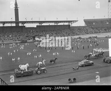 Flower Corso van Aalsmeer in Amsterdam Datum: 9. september 1950 Ort: Amsterdam, Noord-Holland Schlüsselwörter: Flower CORSO Stockfoto