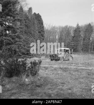 Autos, Wälder, Sprühsysteme Datum: Undatierte Stichwörter: Autos, Wälder, Spritzanlagen Stockfoto