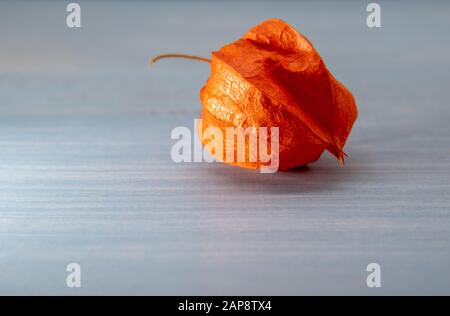 Eine Frucht physalis auf einem feinen Holz- Hintergrund. Stockfoto