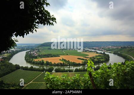 Mundelsheim am Neckar ein Weingebiet bei Stuttgart Stockfoto