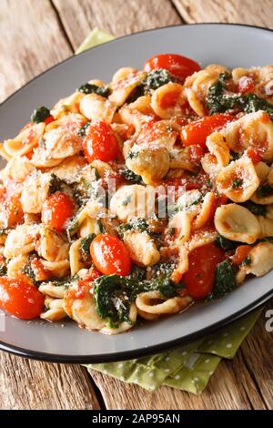 Orancchiette-Pasta mit Spinat und Parmesankäse in Tomatensauce in einer Platte auf dem Tisch. Vertikal Stockfoto