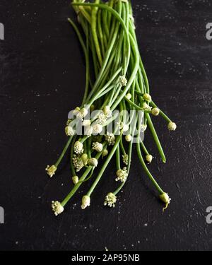 Haufen Zwiebelblüten auf schwarzem Grund, blühende Zwiebelblüten, Frühlingszwiebel mit Blumenköpfen, allium neapolitanum closeup, Skallion Stockfoto