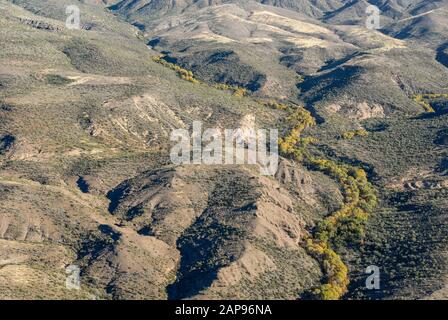 Lufthubschrauber mit Blick auf Baumwollbäume, die entlang von Arroyos in einer Wüstenlandschaft in Arizona schnalzen. (USA)