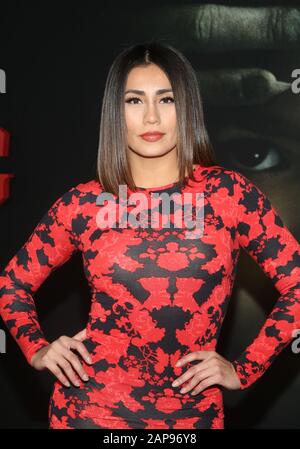 Hollywood, Ca. Januar 2020. Sandra Guitierrez, bei der Premiere Von Universal Pictures "The Turning" im TCL Chinese Theatre in Hollywood, Kalifornien am 21. Januar 2020. Kredit: Faye Sadou/Media Punch/Alamy Live News Stockfoto