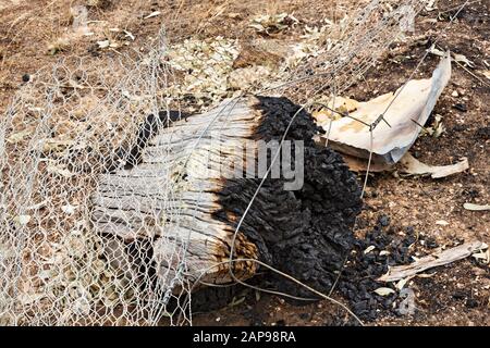 Lexton Australien / Nachwirkungen von Buschbränden in Lexton Victoria Australien. Stockfoto