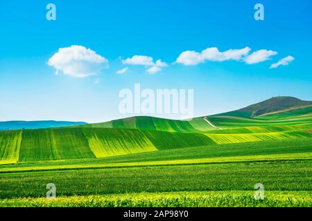 Apulien auf die Landschaft, sanfte Hügel und grüne Felder Landschaft. Poggiorsini, Murge Bari, Italien Europa Stockfoto