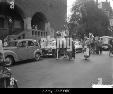 Staudamm tot Dam Race, Dritter Tag, Kamele im Damrace Datum: 29. August 1959 Stockfoto