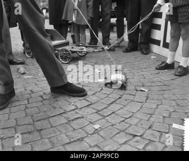 Staudamm tot Dam Race, Third Day, Coen de Turtle Date: 29. August 1959 Stockfoto